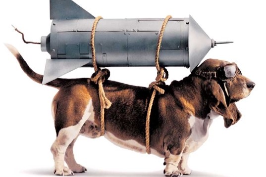 30 Years Later – From Faxes to Fintech